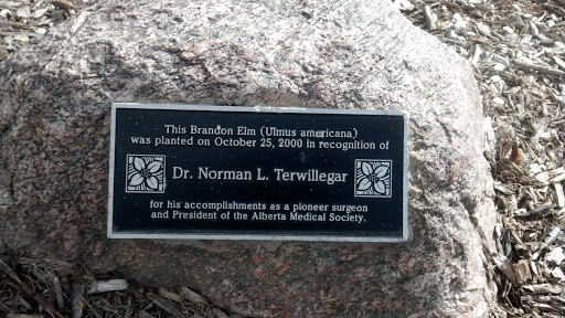 Dr. Norman L. Terwillegar Memorial Tree