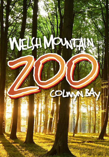 【免費教育App】Welsh Mountain Zoo Guide-APP點子