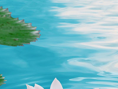 【ベストコレクション】 待ち受け 蓮の花 壁紙 iphone 282977