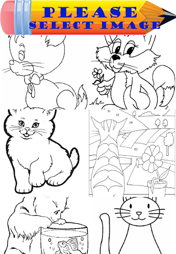 Coloring Cats