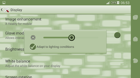 Xperien Theme Silver Green poster 11