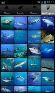免費下載解謎APP|Shark Puzzle Pack & Wallpapers app開箱文|APP開箱王