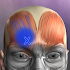 Muscle Trigger Point Anatomy2.4.5 (Paid)