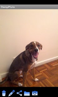 Lastest StampPhoto APK for Android