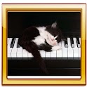 Kittens New Live Wallpaper logo