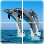 Ocean Puzzle Apk