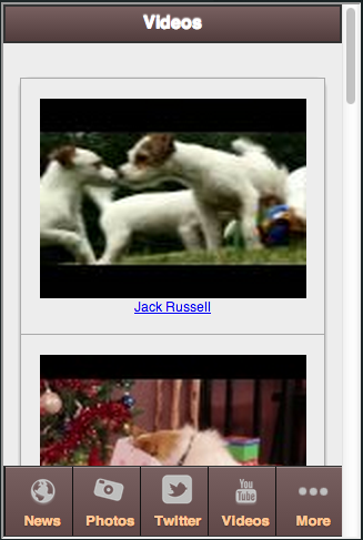 【免費生活App】Jack Russell Super Dog-APP點子