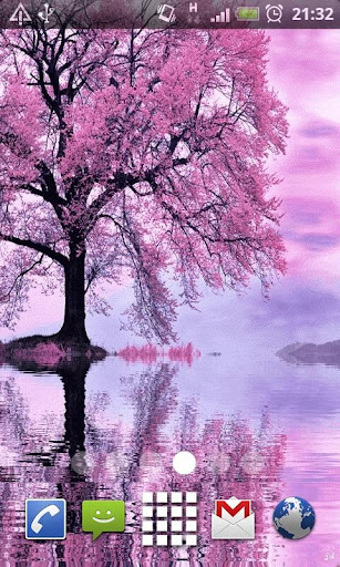 Pink Reflecting Tree LWP