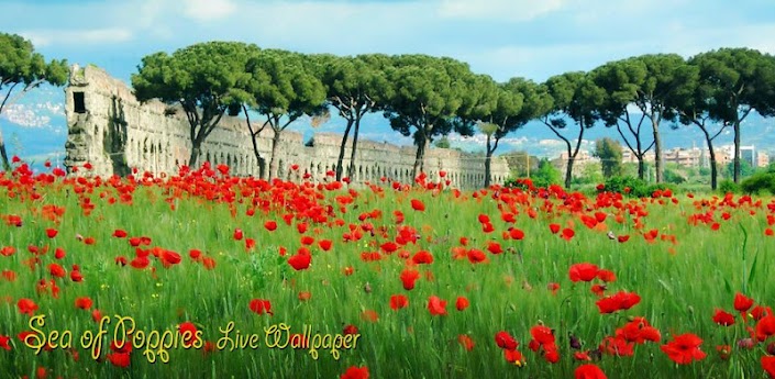 Sea of Poppies Live Wallpaper