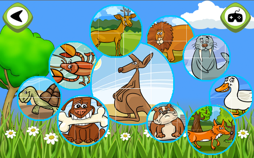 Animal Puzzles 6