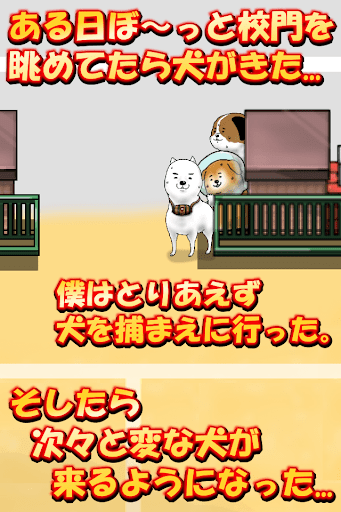 校庭に犬w