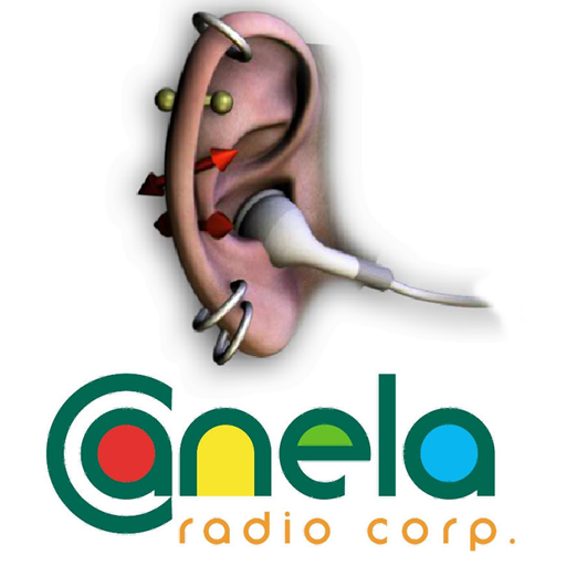 About: Canela Radio Corp (Google Play version) | | Apptopia