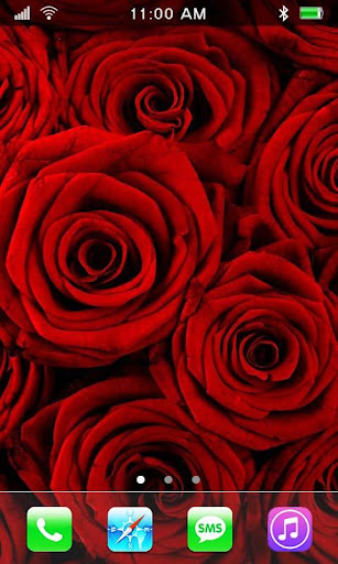 Roses Flowers live wallpaper