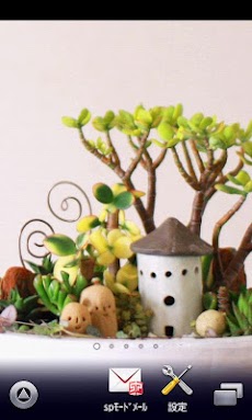 かわいい 多肉植物壁紙 スマホ待ち受け壁紙 Ver2 Androidアプリ Applion