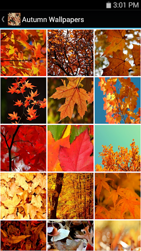 【免費生活App】Autumn Wallpapers-APP點子