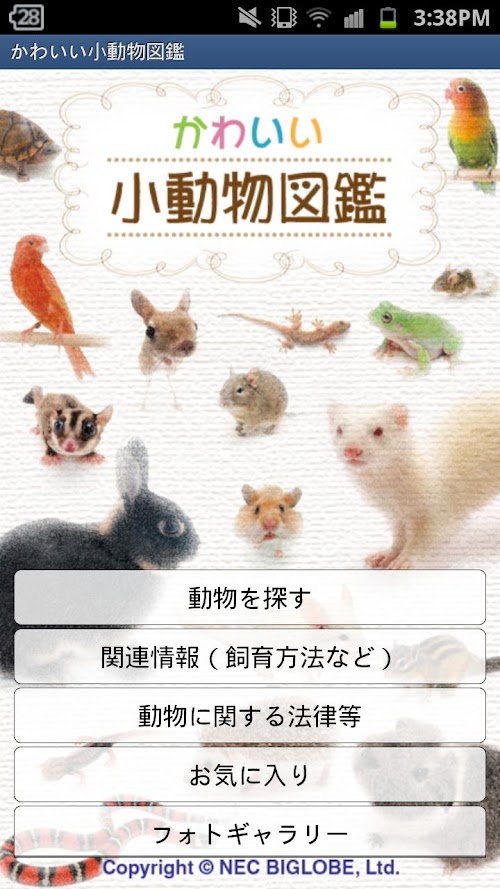 Android application かわいい小動物図鑑 screenshort