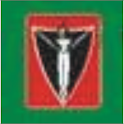 The Nation Newspaper logo