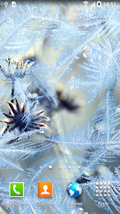 Winter Flowers Live Wallpaper(圖3)-速報App