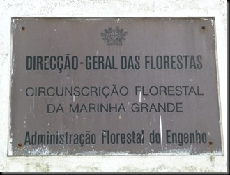 P1000067