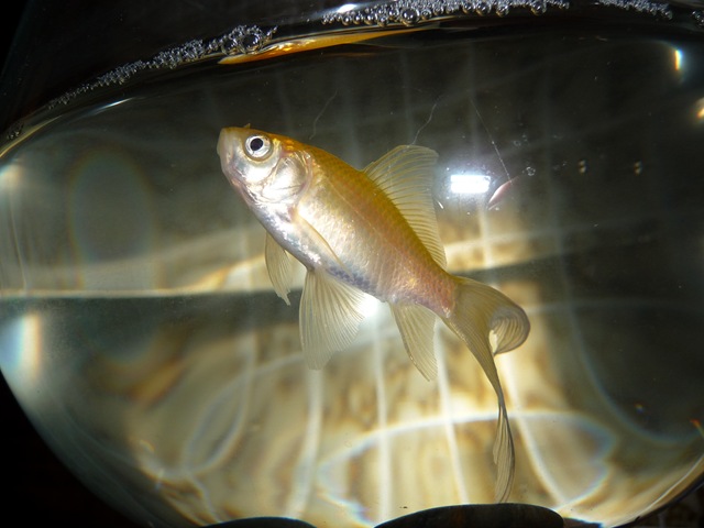[P1010249[3].jpg]