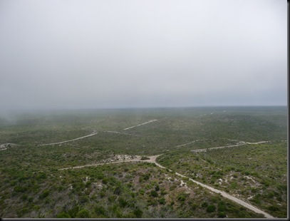 P1000266