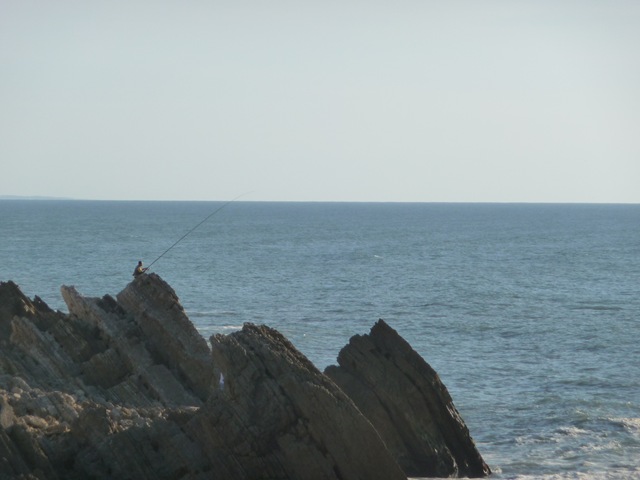 [P1010575[2].jpg]