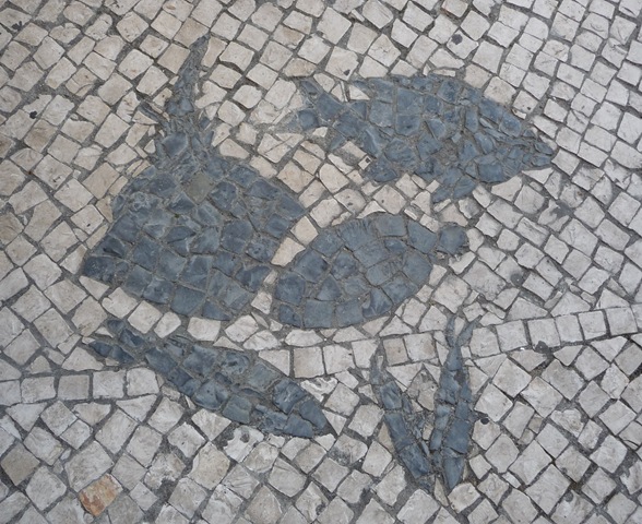 [P1000420[3].jpg]