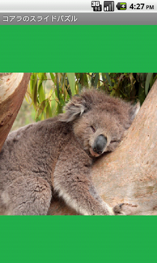 Koala Puzzle free