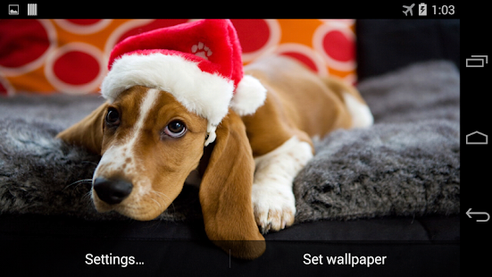 Christmas Dog Live Wallpaper Screenshots 2