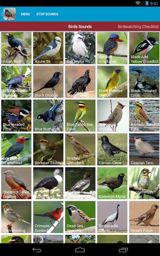 Asian Birds Sounds Free Android Apps on Google Play