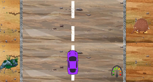 Car Racing Desert