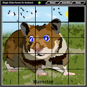 Magic Slide Puzzle Pets