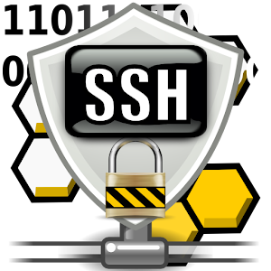 Hasil gambar untuk ssh server linux