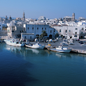 MONOPOLI logo