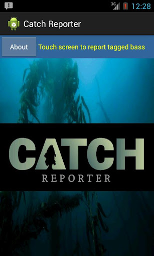 Catch Reporter