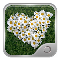 かわいいデイジーライブ壁紙hd Androidアプリ Applion