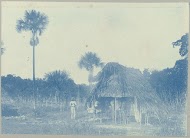 Kampen op Patrick-savanna