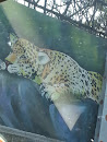 Leopard Painting