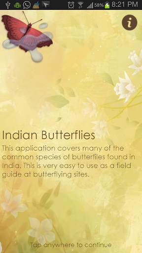 Indian Butterflies
