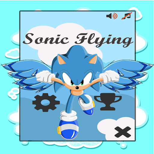 Sonic Flying