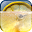 Lemon Appling LWP Download on Windows