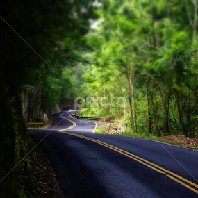 Hana Highway by Brad Maberto - Transportation Roads