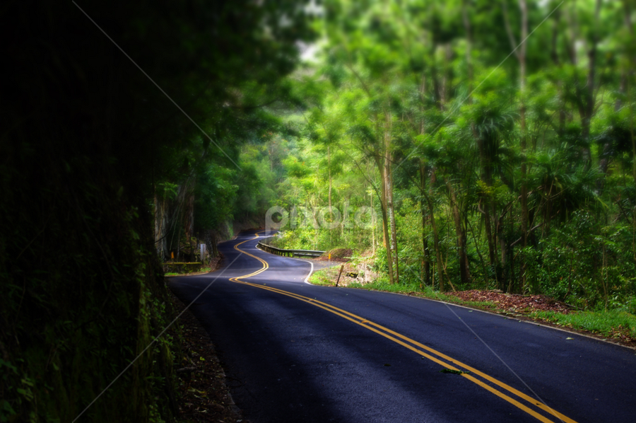 Hana Highway by Brad Maberto - Transportation Roads