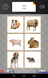 Anglická slovíčka   (licence p poster 1