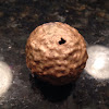 Oak Gall