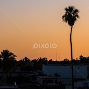 sunset by Daniel Douriet - City,  Street & Park Vistas