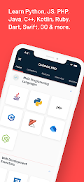 Learn To Code Anywhere 2