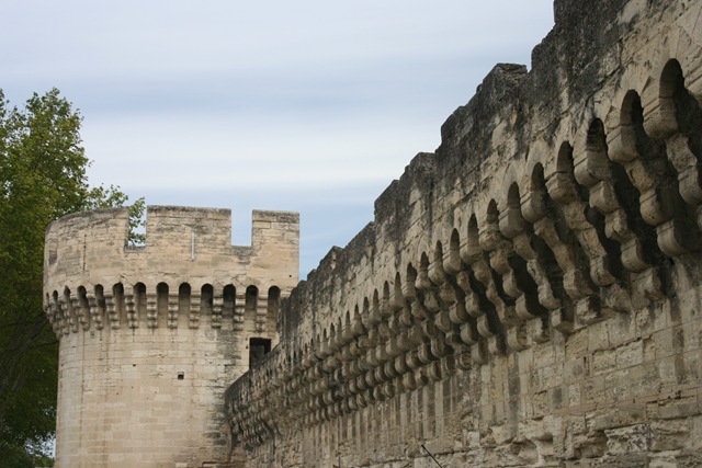 [PontduGuardandAvignon0261.jpg]