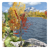 Autumn Live Wallpaper2.1.1