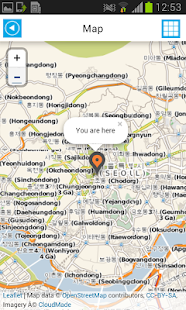 Seoul Offline Map Guide Flight Screenshots 1